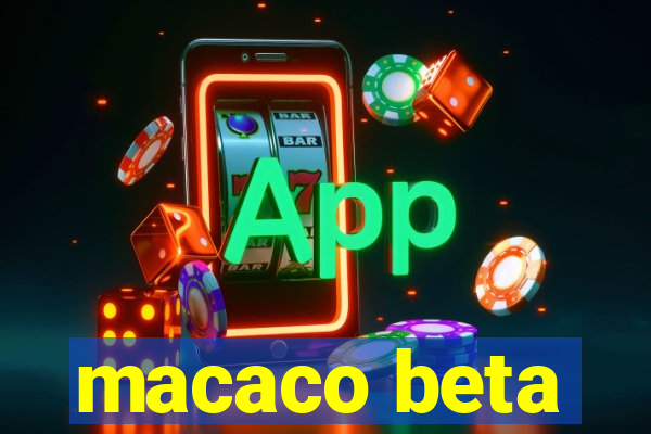 macaco beta