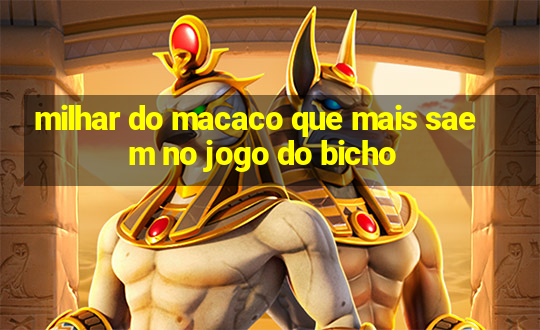 milhar do macaco que mais saem no jogo do bicho