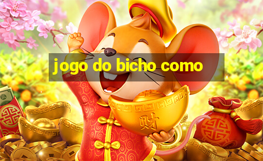 jogo do bicho como