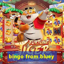 bingo from bluey