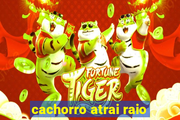 cachorro atrai raio