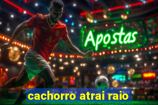 cachorro atrai raio