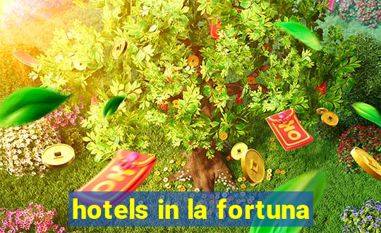 hotels in la fortuna