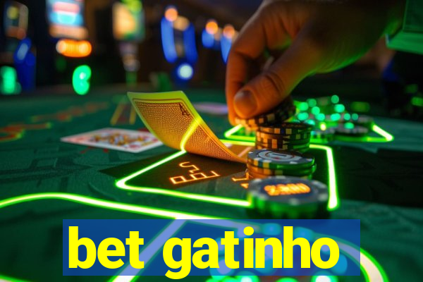 bet gatinho