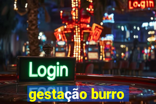 gestação burro