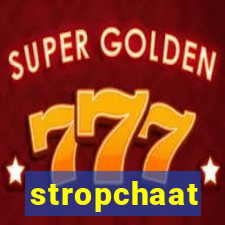 stropchaat