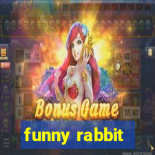 funny rabbit