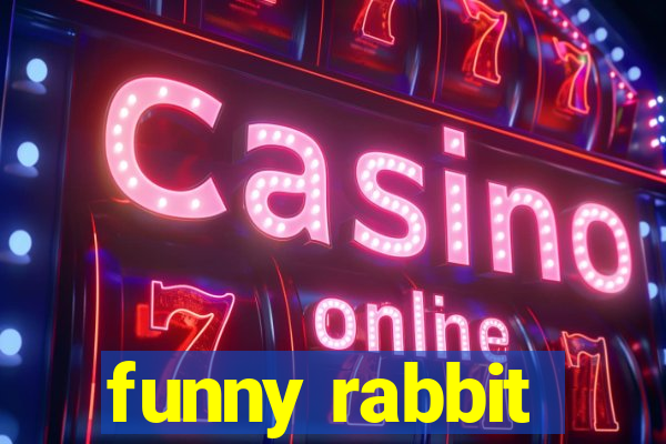 funny rabbit