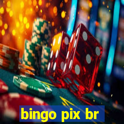 bingo pix br