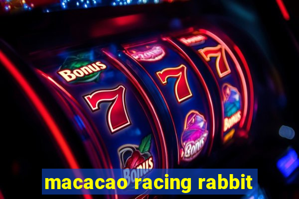 macacao racing rabbit