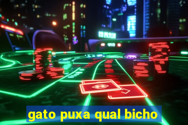 gato puxa qual bicho