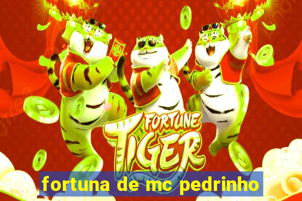 fortuna de mc pedrinho