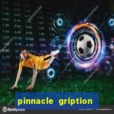 pinnacle gription acetabular shell sector