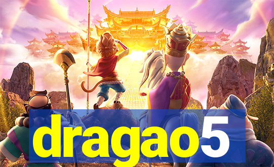 dragao5