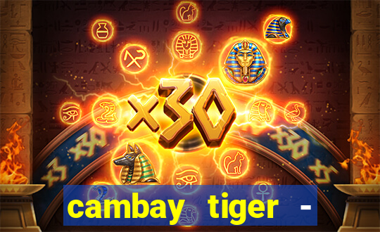 cambay tiger - seafood & meat