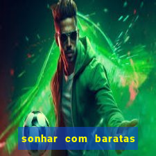 sonhar com baratas no jogo do bicho