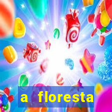 a floresta encantada meme