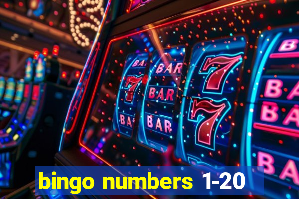 bingo numbers 1-20