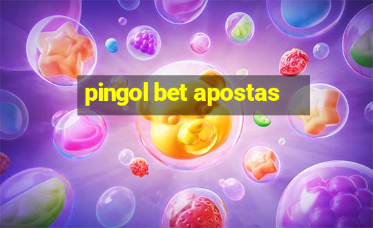 pingol bet apostas