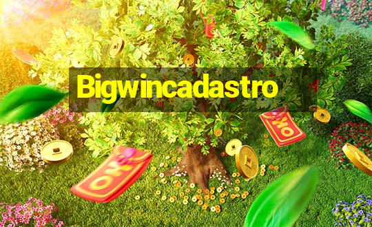 Bigwincadastro