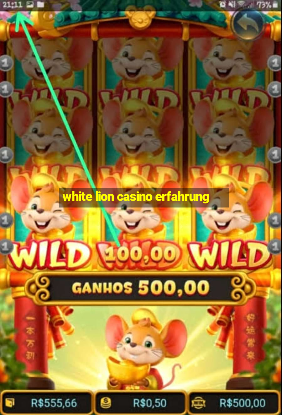 white lion casino erfahrung