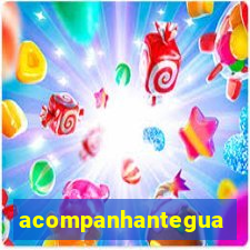 acompanhanteguanambi