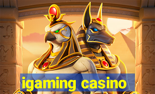 igaming casino