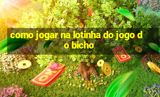 como jogar na lotinha do jogo do bicho