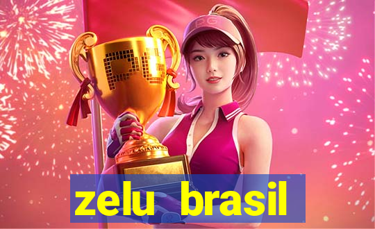 zelu brasil facilitadora de pagamentos ltda jogos