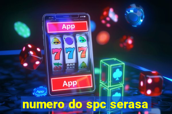 numero do spc serasa