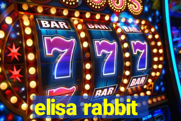 elisa rabbit