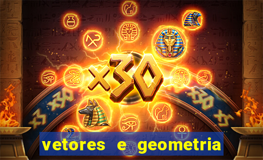 vetores e geometria analítica paulo winterle pdf