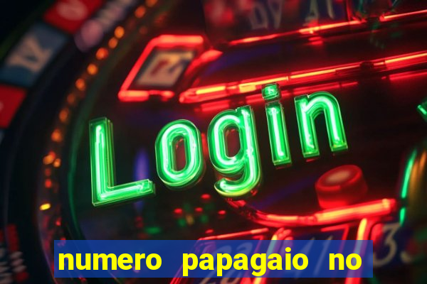 numero papagaio no jogo do bicho