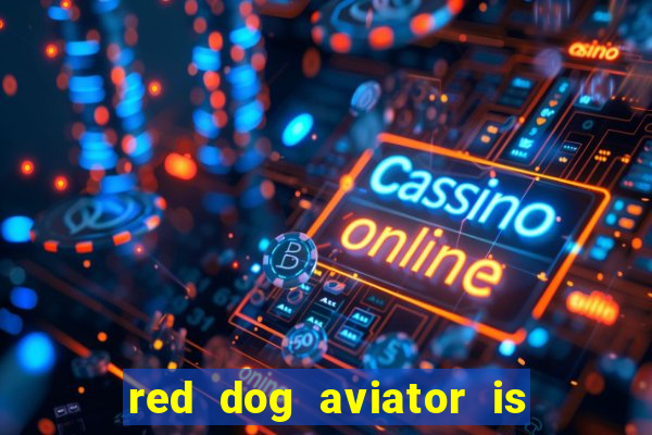 red dog aviator is real or fake