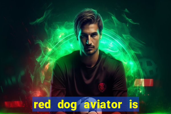 red dog aviator is real or fake