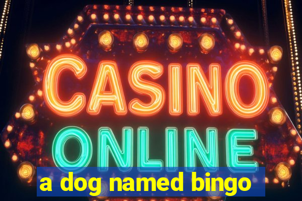 a dog named bingo