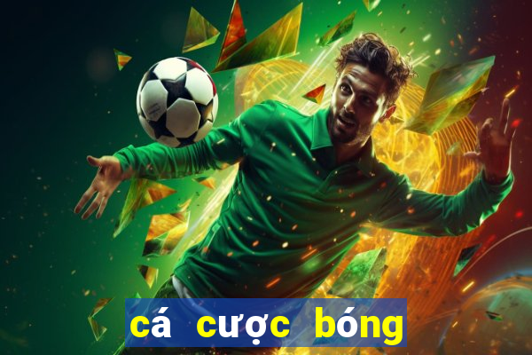 cá cược bóng đá online