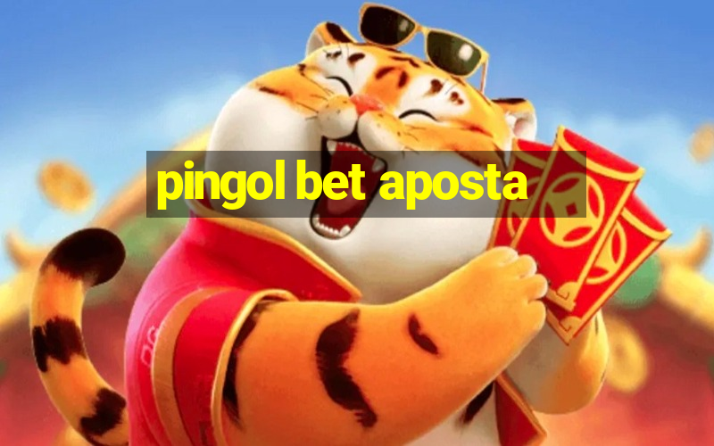 pingol bet aposta