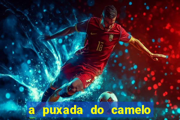 a puxada do camelo no jogo do bicho