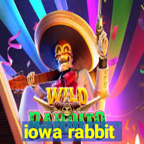 iowa rabbit