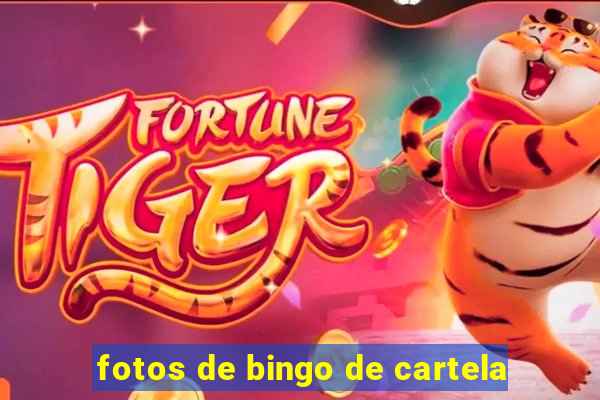 fotos de bingo de cartela