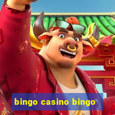 bingo casino bingo