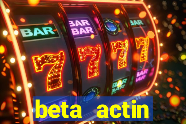 beta actin molecular weight