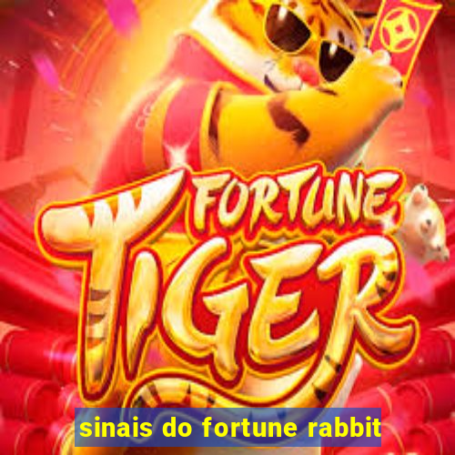 sinais do fortune rabbit