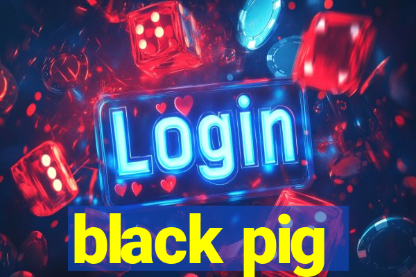 black pig