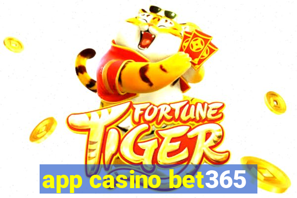 app casino bet365