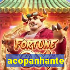 acopanhante