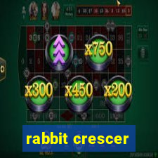 rabbit crescer