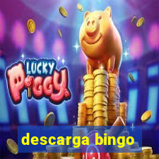 descarga bingo