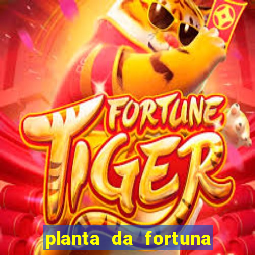 planta da fortuna e felicidade